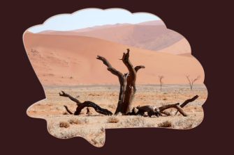 Vers les dunes...