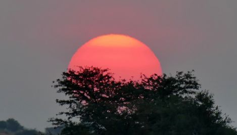 SOIR