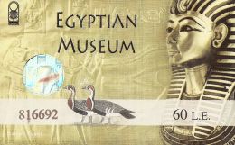 MUSEE MOMIFICATION