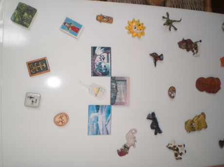 MAGNETS FRIGORIFIES